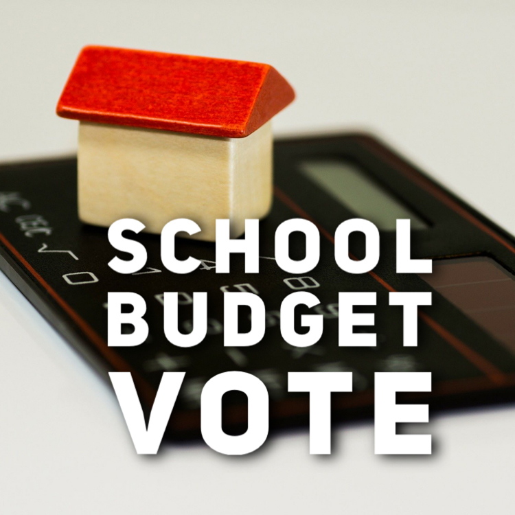 budget vote