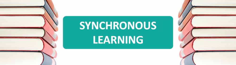 Synchronous Learning 