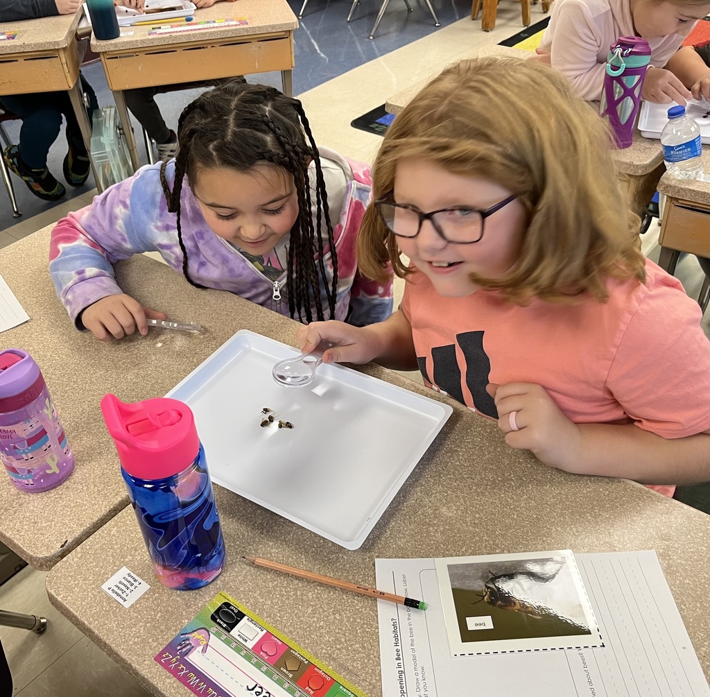 Mrs. Naselli’s class worked with their learning buddies today to observe, draw and label the parts of a honey bee. 