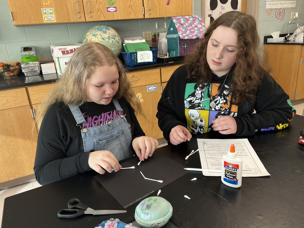 Mrs Millers 6th grade science scholars are learning about space. Today they researched constellations and created these awesome informational projects!