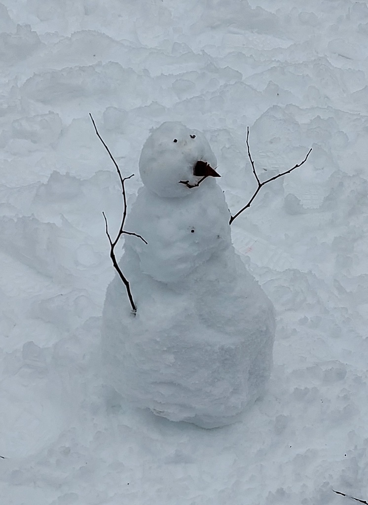 PreK's Snowman!