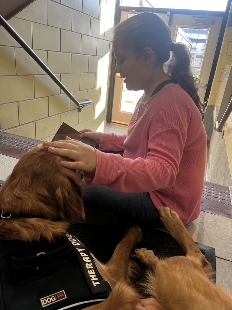 Boulevard’s Therapy Dogulevard’s Therapy Dog